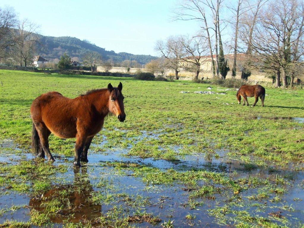 Hotel Rural En Escalante Las Solanas מראה חיצוני תמונה